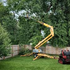 Best Leaf Removal  in Woodlynne, NJ
